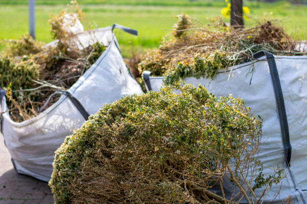 Best Junk Removal Near Me  in Gold Canyon, AZ